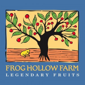 frog hollow logo