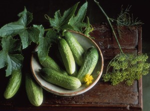 Gherkins in bowl with dill